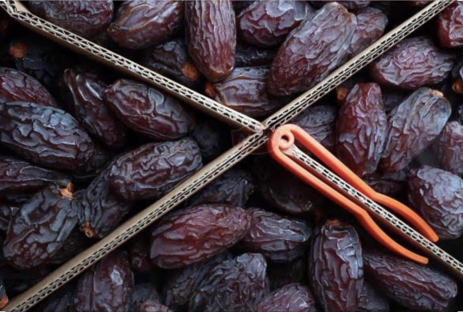 Kudüs Hurması (500gr) Kapak Resmi
