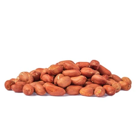 Fıstık Kapak Resmi